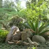 Product image 3 of the product “Set of 12 wooden birds in a box, 6 with feet and 6 with metal stick 3mm ”